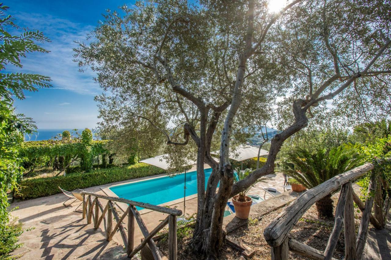 Villa Due Golfi Massa Lubrense Exterior foto